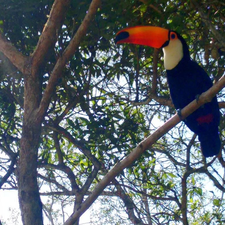 Pousada Tucano Do Cuiaba Itaipava Exterior foto